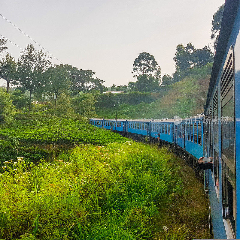 在斯里兰卡的火车旅行通过茶叶种植园Ella, Nuwara Eliya和Kandy